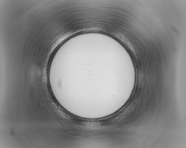 X0000115360789200912151357