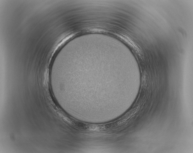 X0000115360790200912151357