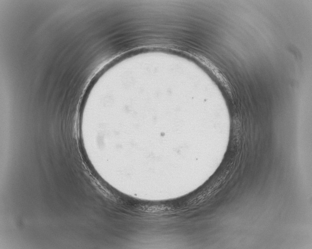 X0000115360791200912151356