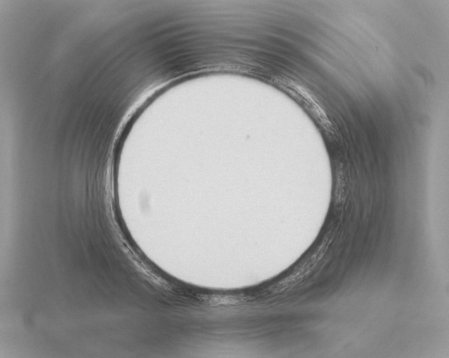 X0000115360796200912151356