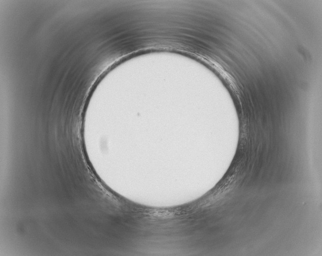 X0000115360799200912151356