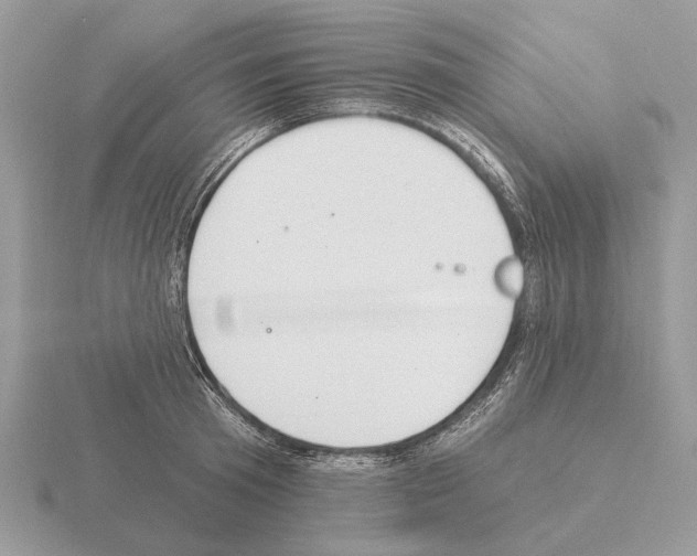 X0000115360801200912151356