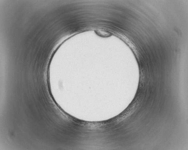 X0000115360803200912151356