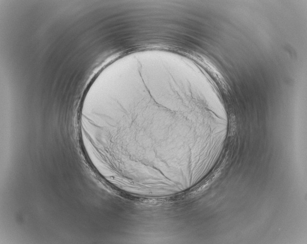 X0000115360806200912151356