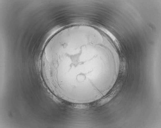 X0000115360807200912151356