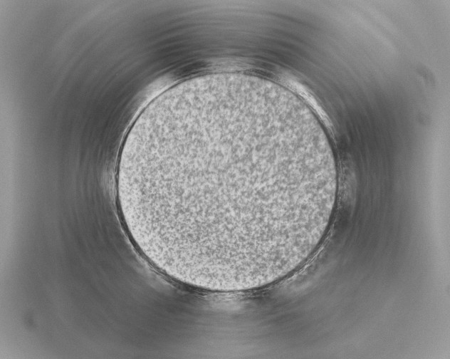 X0000115360810200912151356