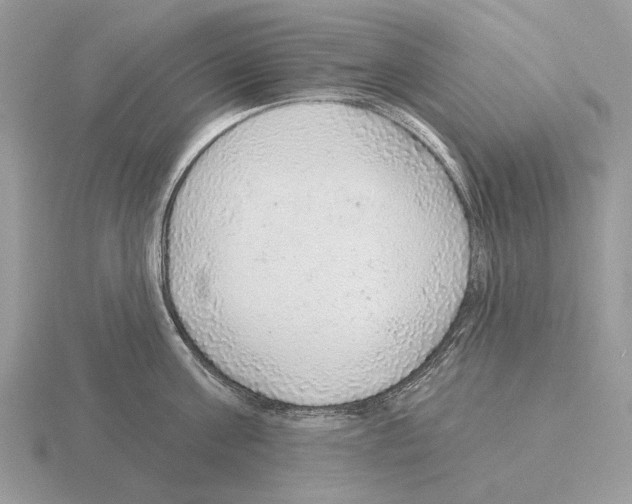 X0000115360811200912151356