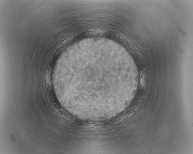 X0000115360819200912151356