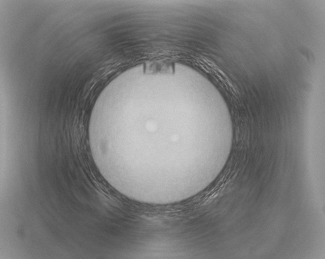 X0000115360820200912151356