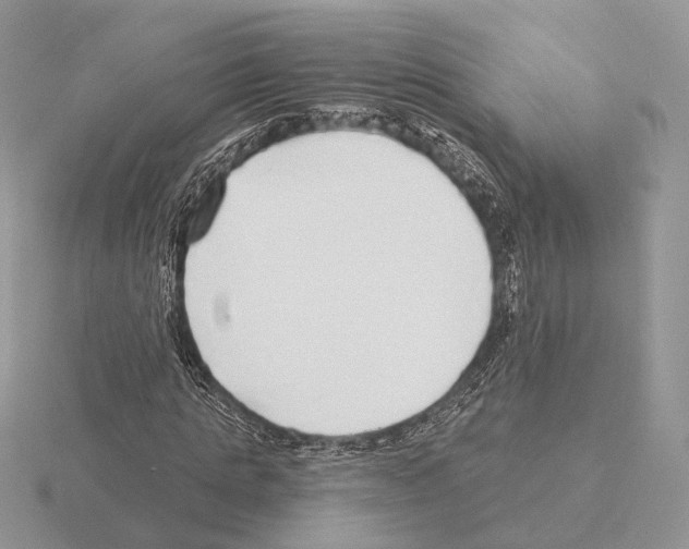 X0000115360821200912151356