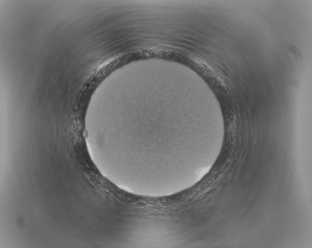 X0000115360822200912151356