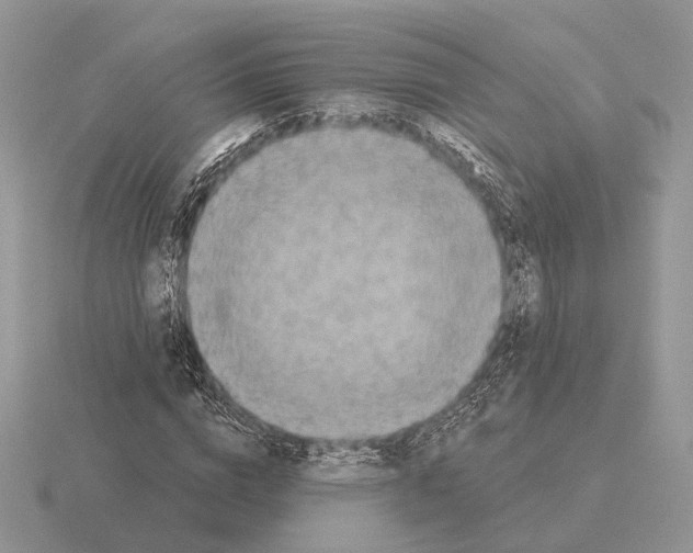 X0000115360824200912151356