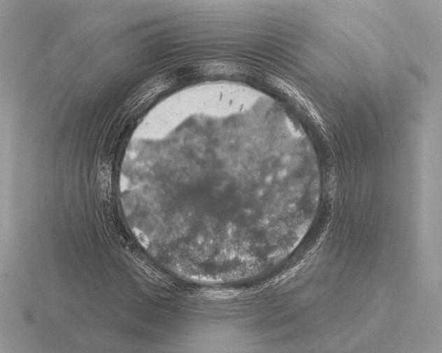 X0000115360825200912151356