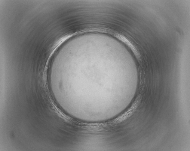X0000115360828200912151356