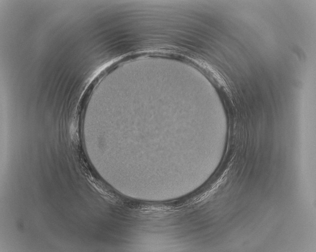 X0000115360830200912151356