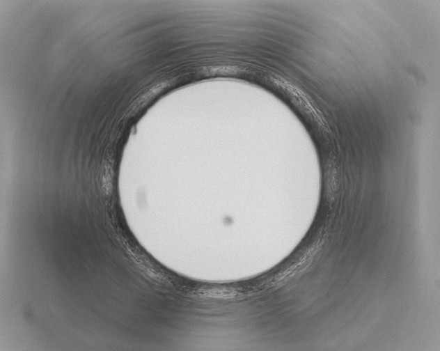 X0000115360833200912151356