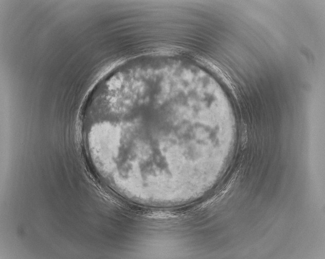 X0000115360835200912151356