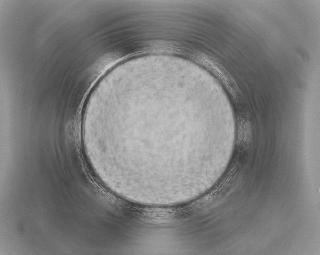 X0000115360836200912151356