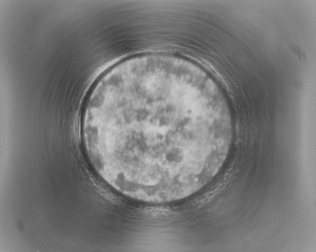 X0000115360838200912151356