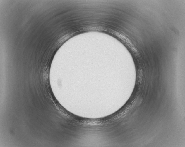 X0000115360841200912151356