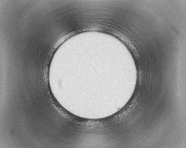 X0000115360842200912151356
