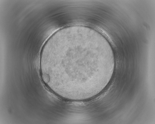 X0000115360844200912151356