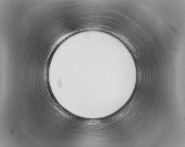 X0000115360846200912151356