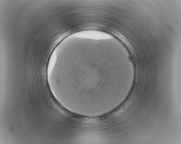 X0000115360850200912151356