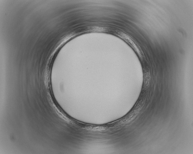 X0000115360851200912151356