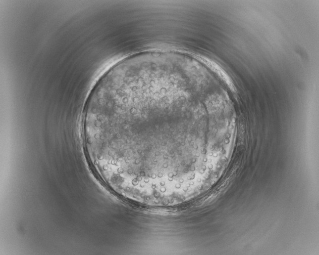 X0000115360855200912151356