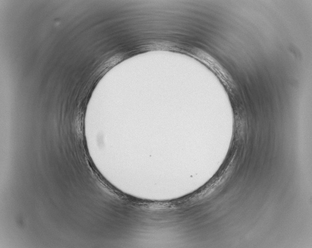 X0000115360857200912151356