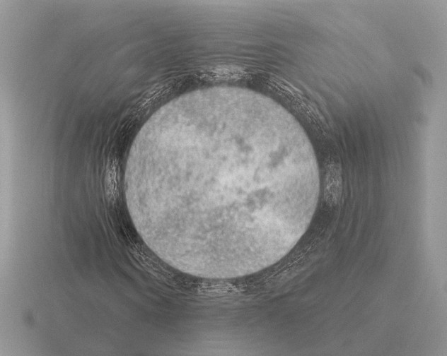 X0000115360866200912151356