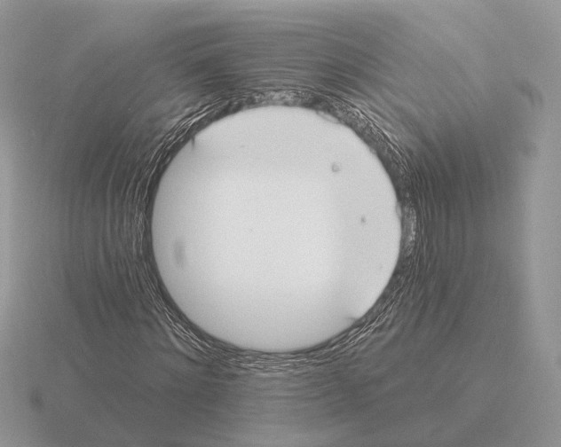 X0000115360868200912151356