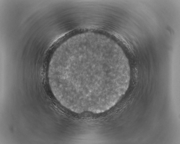 X0000115360872200912151355