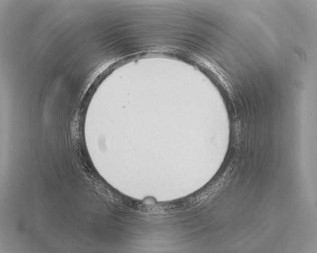 X0000115360875200912151355