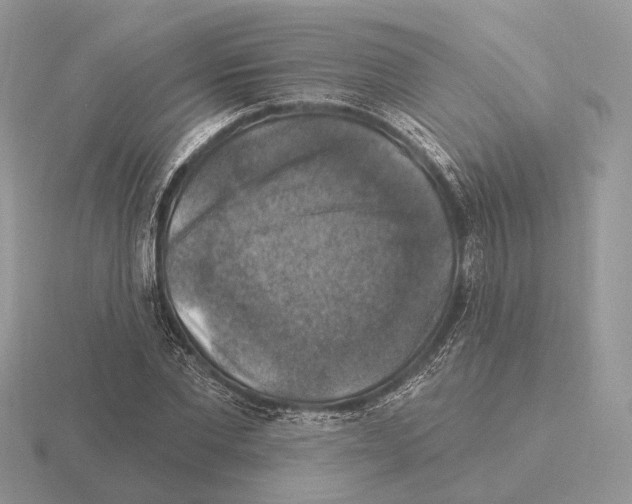 X0000115360877200912151355