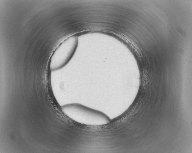 X0000115360880200912151355