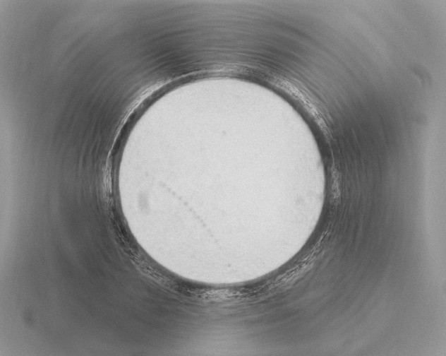 X0000115360883200912151355