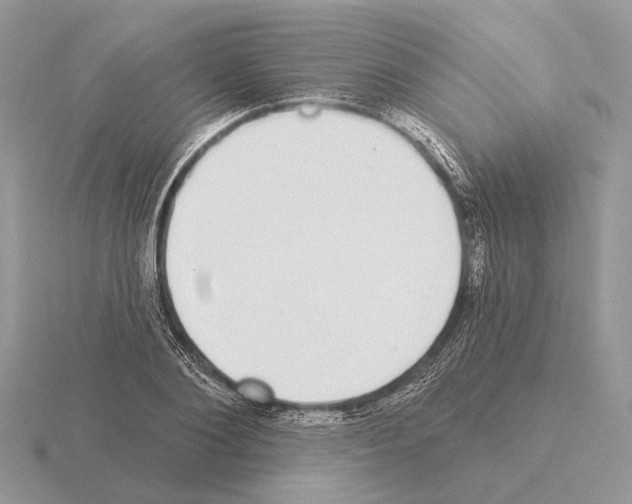 X0000115360884200912151355