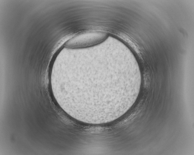 X0000115360885200912151355