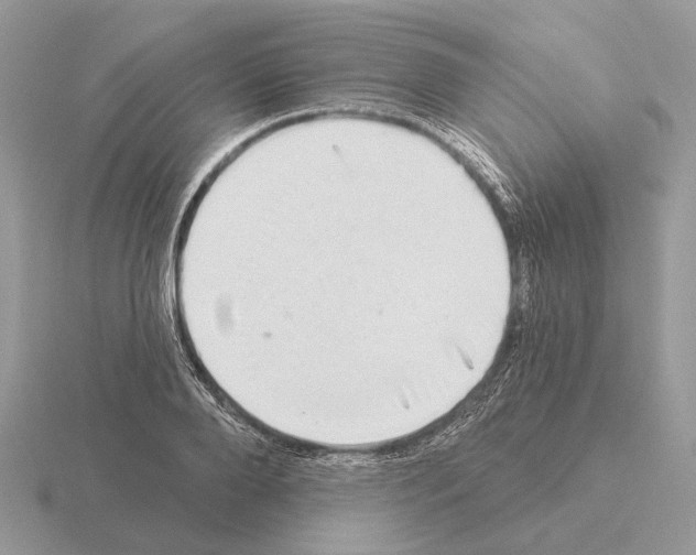X0000115360888200912151355