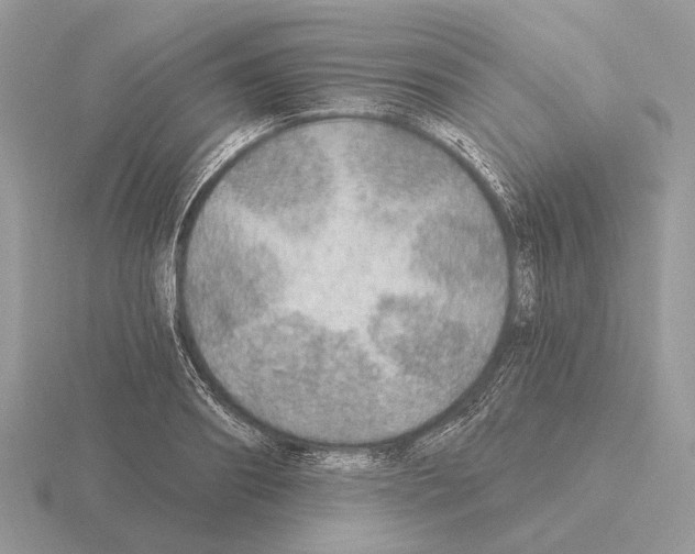 X0000115360890200912151355