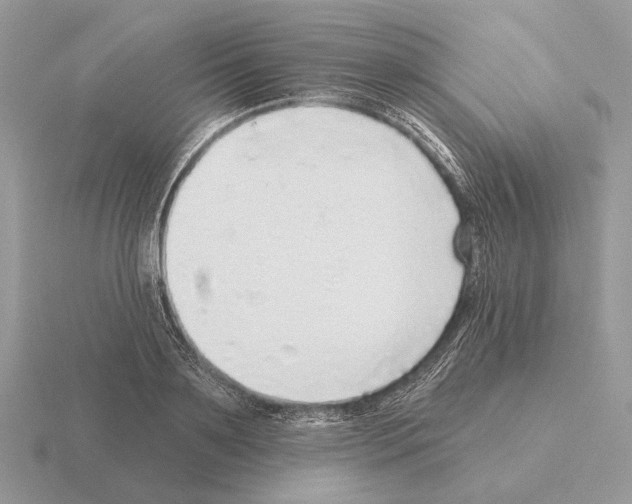 X0000115360891200912151355