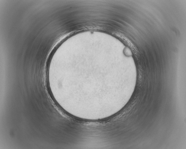 X0000115360894200912151355