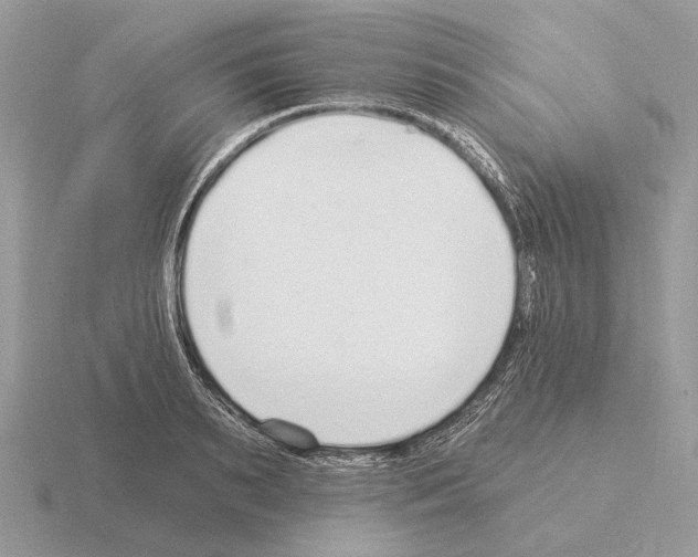 X0000115360895200912151355