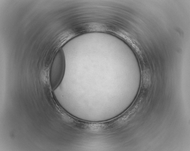 X0000115360897200912151355
