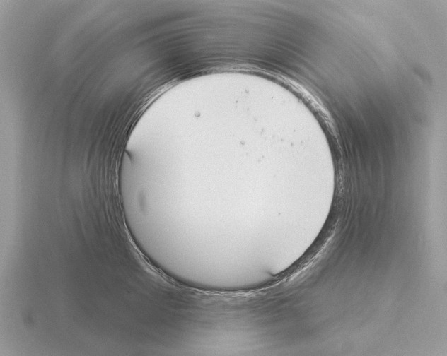 X0000115360905200912151355