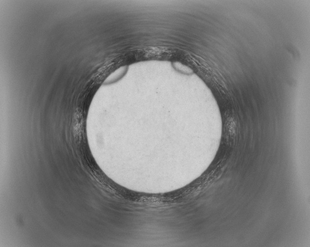 X0000115360914200912151354