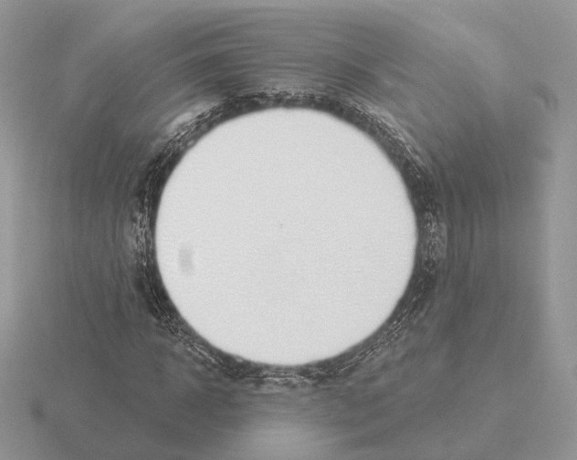 X0000115360918200912151354
