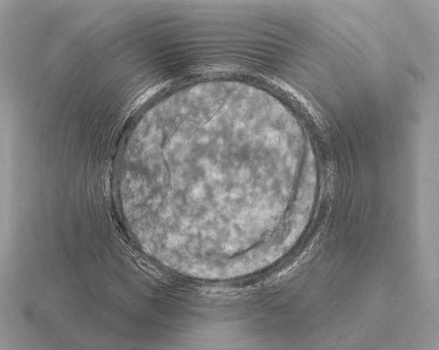 X0000115360921200912151354
